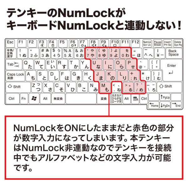 静音ワイヤレステンキー SANWA SUPPLY NT-WL23BK ブラック ワイヤレスタイプ Tabキー00キー搭載