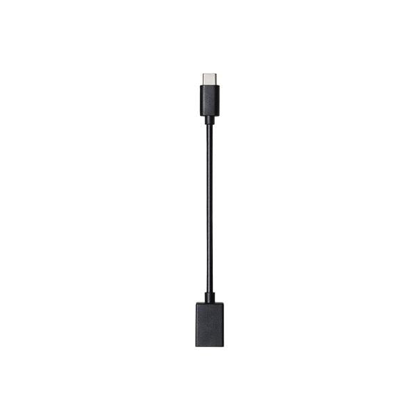 USBヘッドフォン audio-technica ATH-202USB イヤホン型 Type-A USB Type-C
