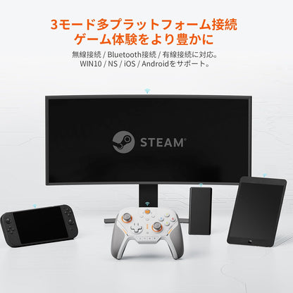 ジャイロ搭載ゲームパッド BIGBIGWON Blitz 2 TMR Switch スマホ PC