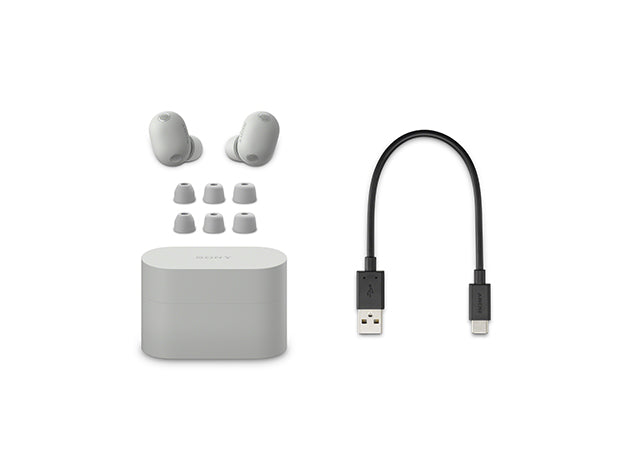 WF-1000XM6 SZ ワイヤレスノイズキャンセリングステレオヘッドセット プラチナシルバー