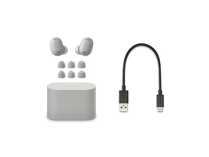 WF-1000XM6 SZ ワイヤレスノイズキャンセリングステレオヘッドセット プラチナシルバー