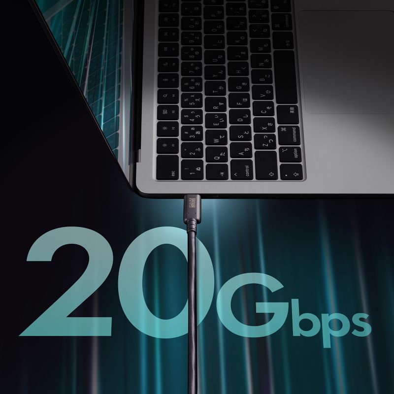 USB Type-C USB20Gbps 対応ケーブル 2m ブラック PD240W対応  USB4 Gen2×2 SANWA SUPPLY