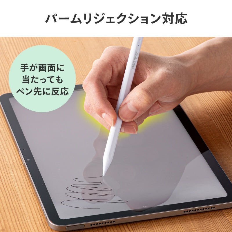 Apple iPad専用充電式極細タッチペン ホワイト PDA-PEN60W SANWA SUPPLY